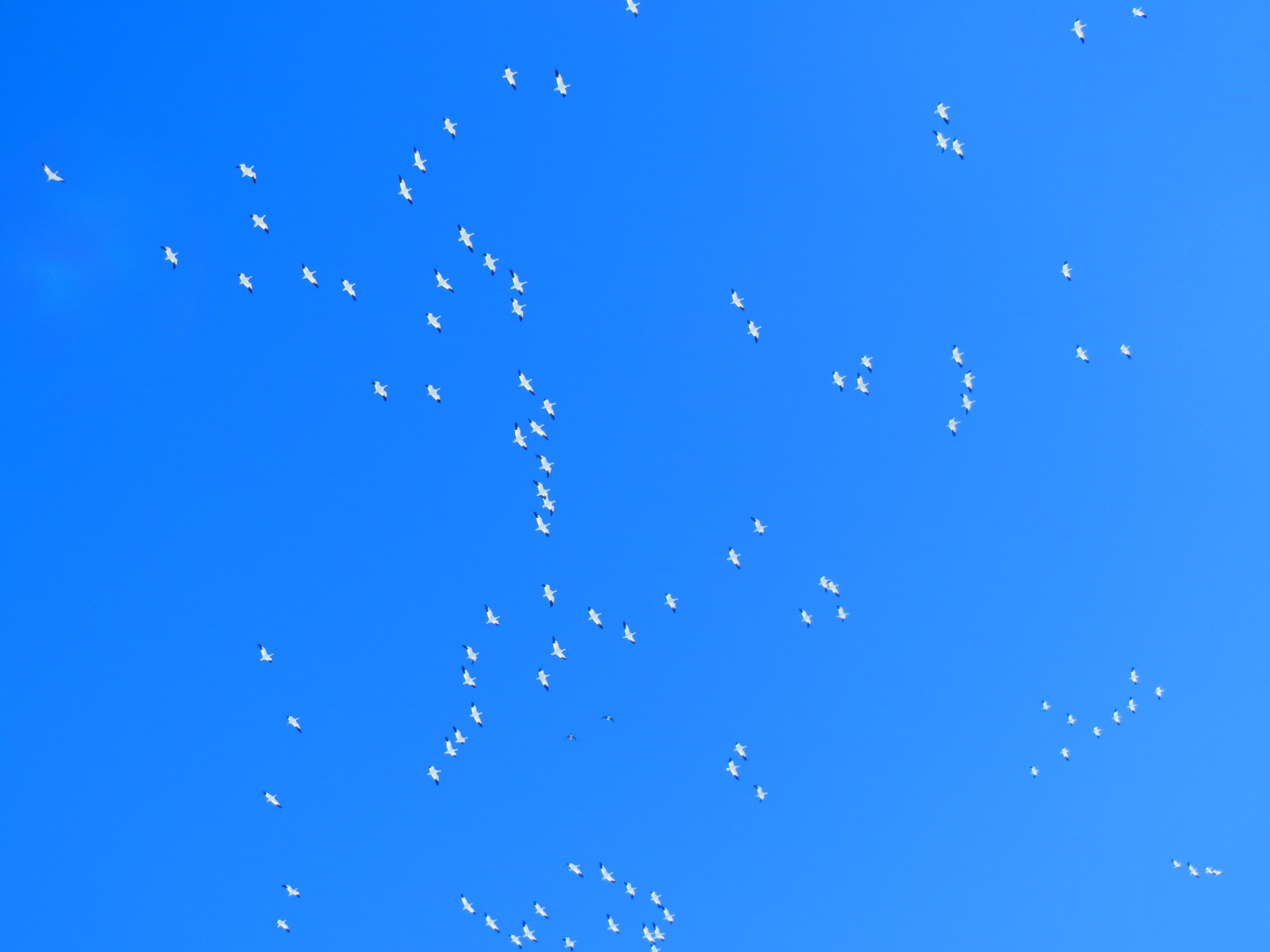 2019年3月23日